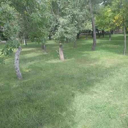 Imperial, 9 Daire Salamanca